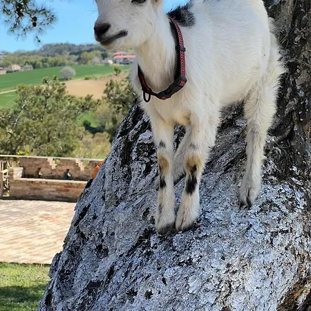 Appartamento Quadrifoglio